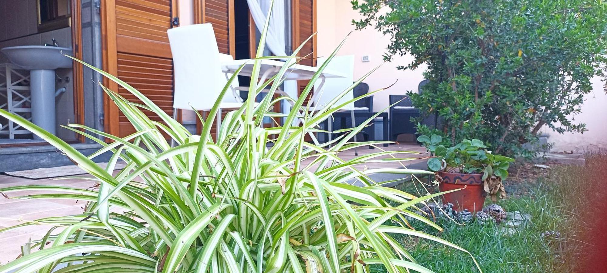Апартаменти Casa Lilla 1 E 2 Ористано Екстер'єр фото